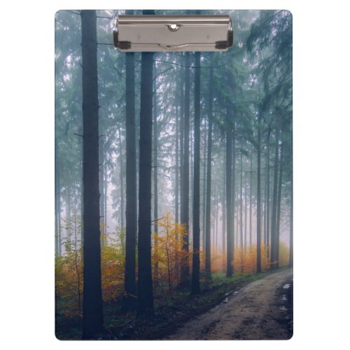 Majestic Forest Tree Lined Path Clipboard