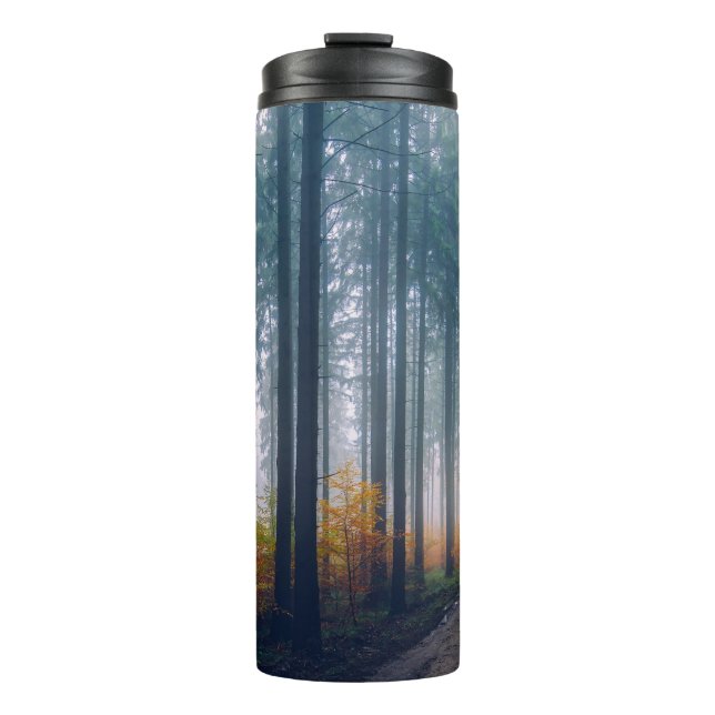 Majestic Forest Tree Lined Path Thermal Tumbler (Front)