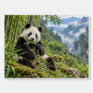 Majestic Giant Panda Bamboo Mountain Landscape Foam Board