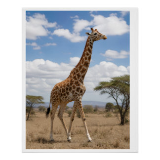 Majestic Giraffe Walking Across the African Savann Poster