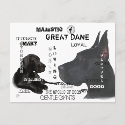 Majestic Great Danes Postcard