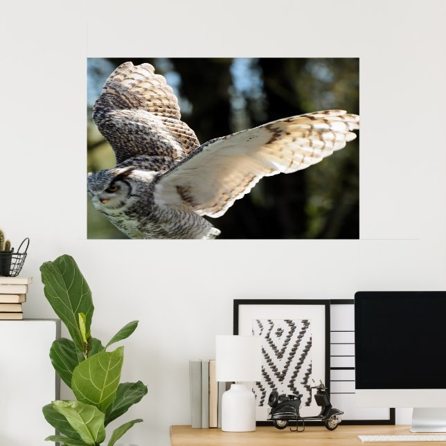  Majestic Great Horn Owl Poster (Home Office)