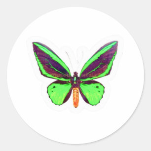 Majestic Green Lime Butterfly Sticker - Full Wing