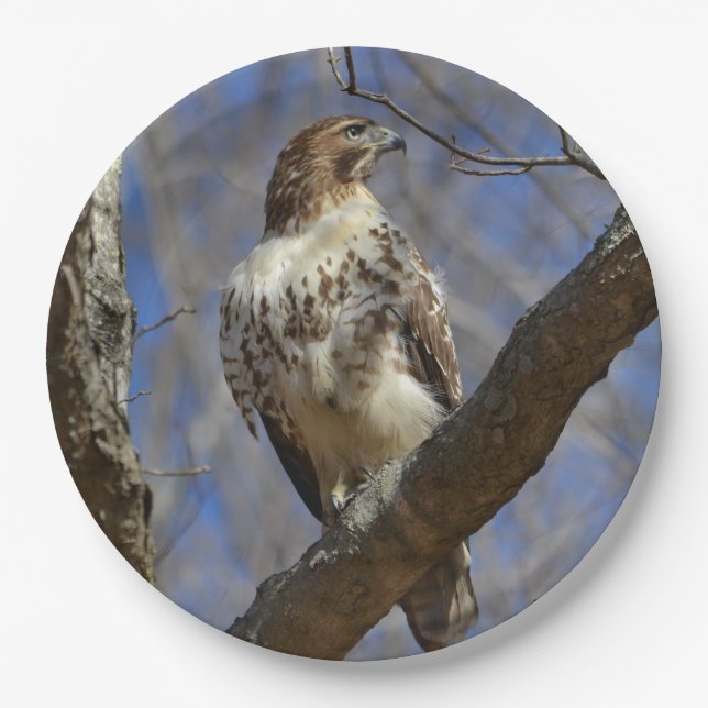 Majestic Hawk Paper Plates (Front)