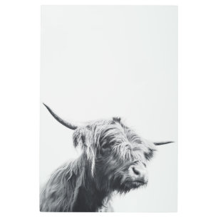 Majestic Highland cow black and white Metal Print