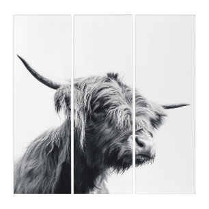Majestic Highland cow black and white Triptych