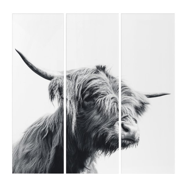 Majestic Highland cow black and white Triptych (Front)