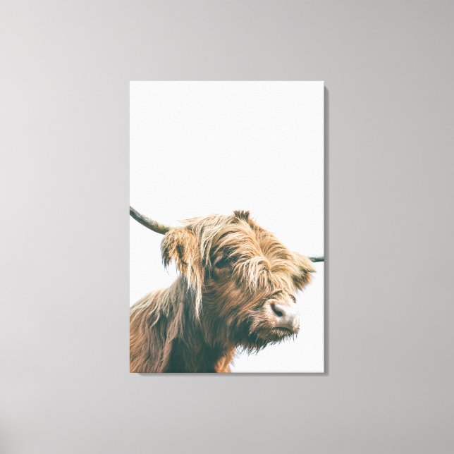 Majestic Highland cow portrait Canvas Print (Front)