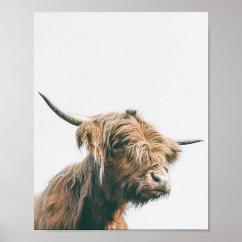 Majestic Highland cow portrait Poster