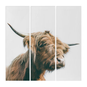 Majestic Highland cow portrait Triptych
