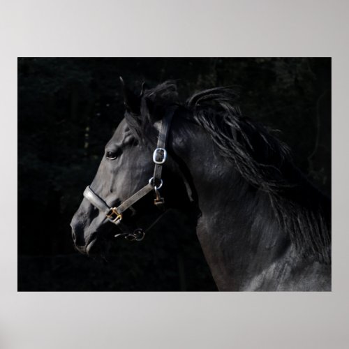 Majestic horse poster