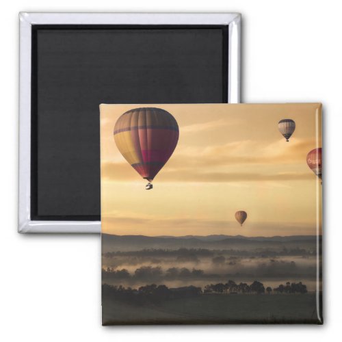 Majestic Hot Air Balloons Magnet