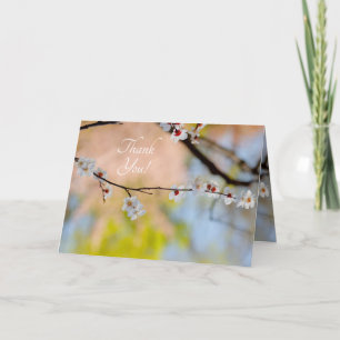 Majestic Japanese Apricot Flowers Letterpress Thank You Card