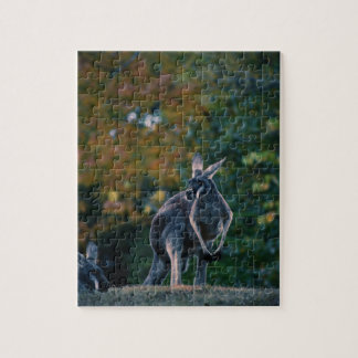 Majestic Kangaroo Jigsaw Puzzle