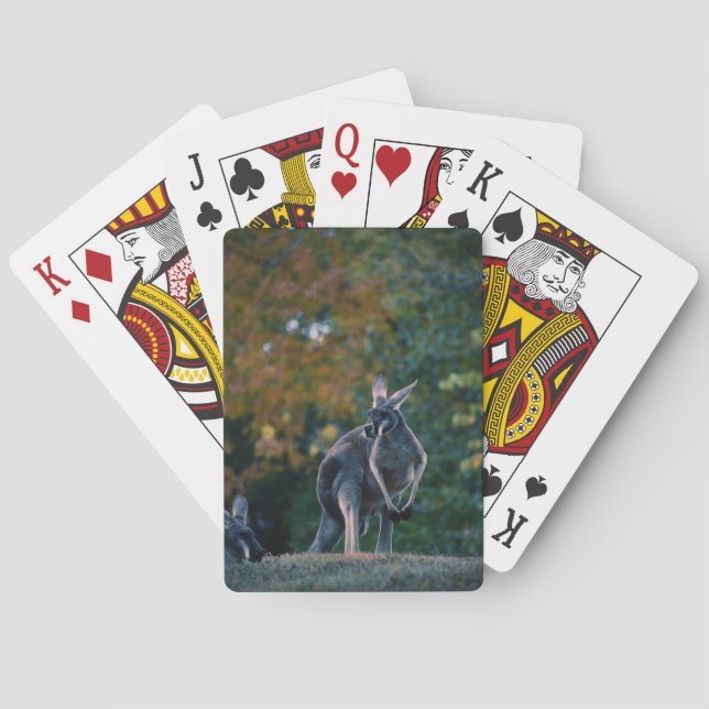 Majestic Kangaroo Poker Cards (Back)