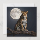 Majestic Leopard and Full Moon Blank (Front)