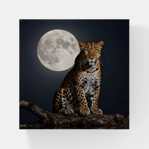 Majestic Leopard and Full Moon Paperweight