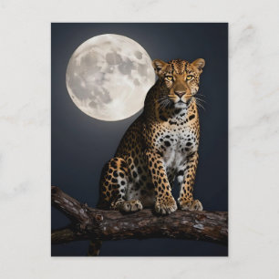 Majestic Leopard and Full Moon Postcard