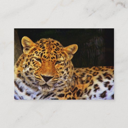 Majestic Leopard Business Card