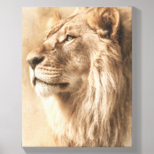 Majestic Lion Canvas Print