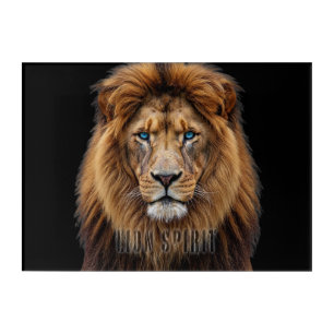 Majestic Lion Face with Blue Eyes Wildlife Anima Acrylic Print