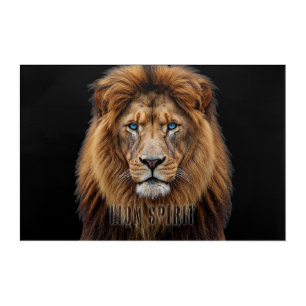 Majestic Lion Face with Blue Eyes Wildlife Anima Acrylic Print