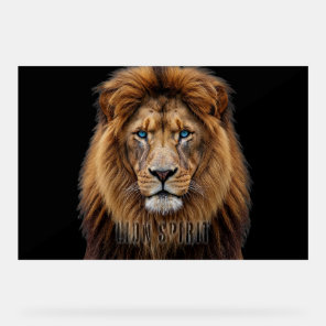 Majestic Lion Face with Blue Eyes | Wildlife Anima Acrylic Sign
