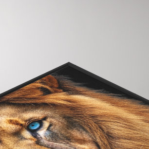 Majestic Lion Face with Blue Eyes   Wildlife Anima Canvas Print