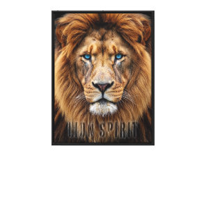Majestic Lion Face with Blue Eyes | Wildlife Anima Canvas Print
