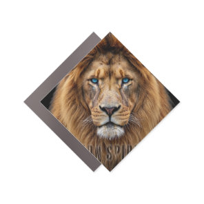 Majestic Lion Face with Blue Eyes | Wildlife Anima Car Magnet