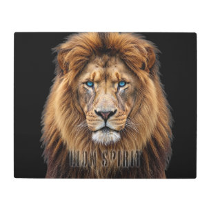 Majestic Lion Face with Blue Eyes Wildlife Anima Metal Print
