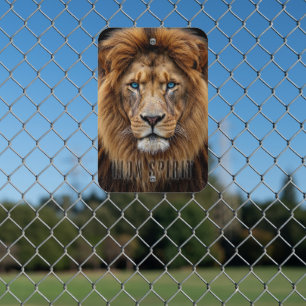 Majestic Lion Face with Blue Eyes Wildlife Anima Metal Sign