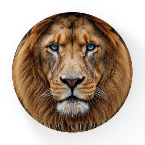 Majestic Lion Face with Blue Eyes | Wildlife Anima Paperweight