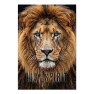 Majestic Lion Face with Blue Eyes   Wildlife Anima Photo Print