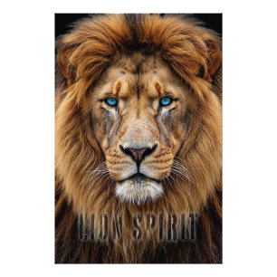 Majestic Lion Face with Blue Eyes   Wildlife Anima Photo Print