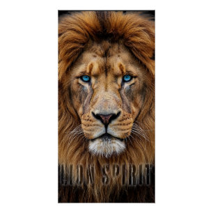 Majestic Lion Face with Blue Eyes   Wildlife Anima Poster