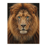 Majestic Lion Face with Blue Eyes | Wildlife Anima