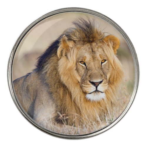 Majestic lion golf ball marker