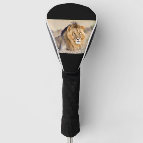 Majestic lion golf head cover