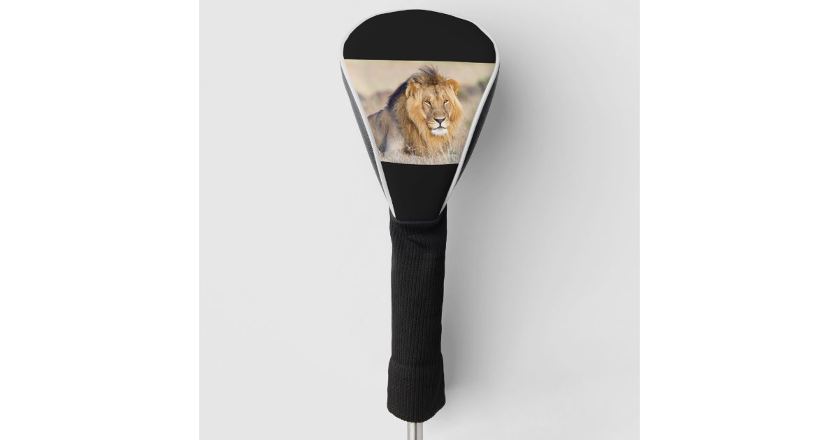 Majestic lion golf head cover Zazzle