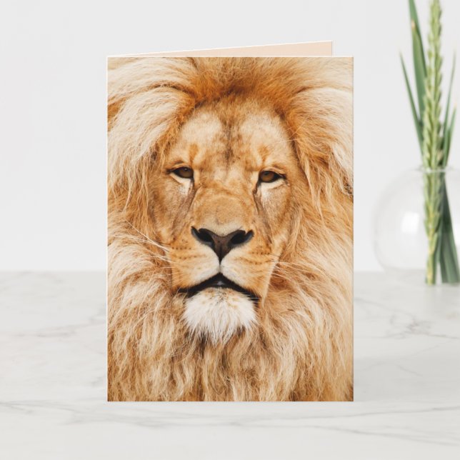 majestic lion greeting card (Front)