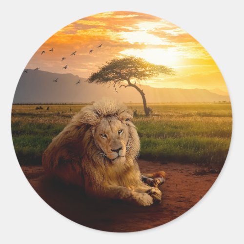 Majestic Lion in Africa at Sunset Classic Round Sticker