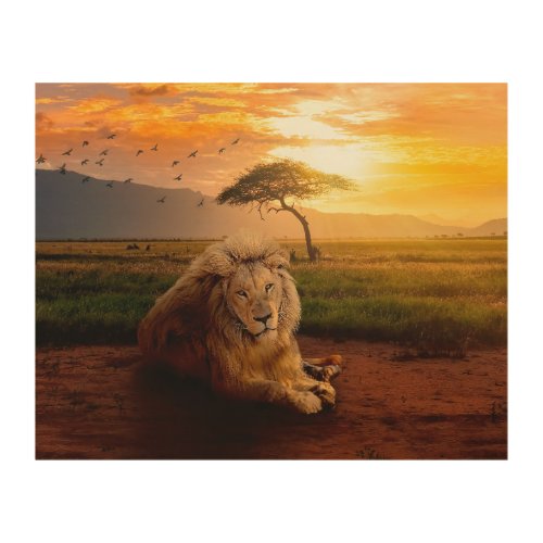 Majestic Lion in Africa at Sunset Wood Wall Art