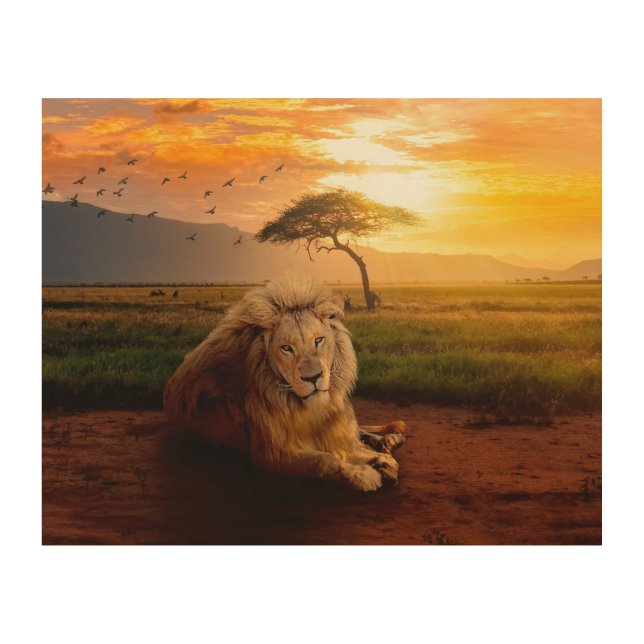 Majestic Lion in Africa at Sunset Wood Wall Art (Front)