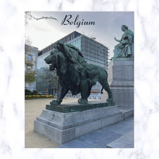 Majestic Lion in Brussels Belgium Postcard (Creator Uploaded)