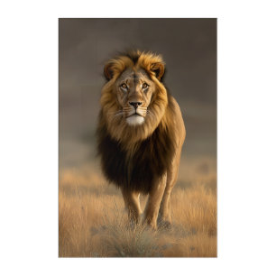 Majestic Lion in the Golden Savanna Acrylic Print