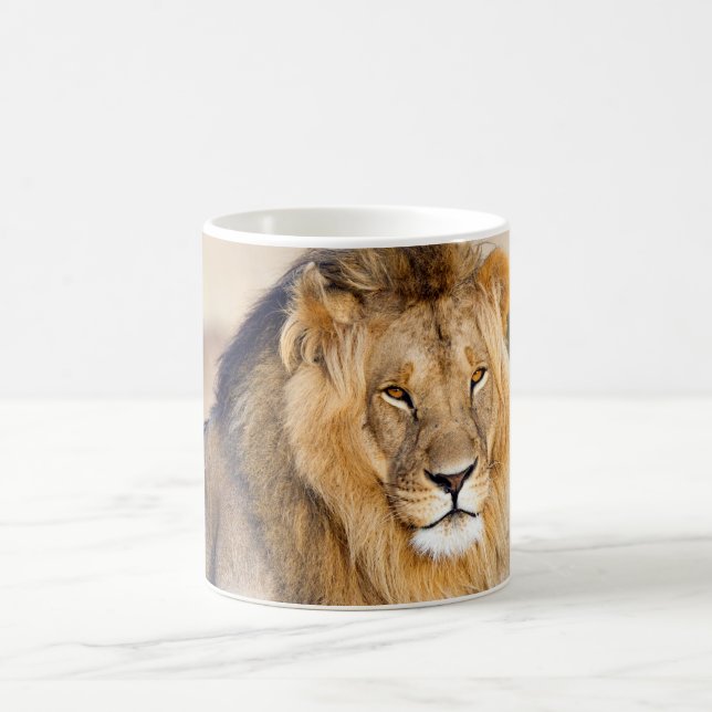 Majestic lion photo coffee mug (Center)