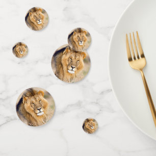 Majestic lion photo confetti
