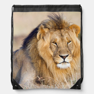 Majestic lion photo drawstring bag