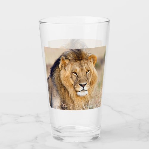 Majestic lion photo glass
